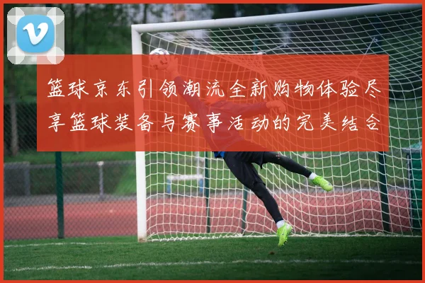 篮球京东引领潮流全新购物体验尽享篮球装备与赛事活动的完美结合