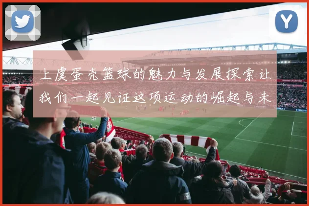 上虞蛋壳篮球的魅力与发展探索让我们一起见证这项运动的崛起与未来