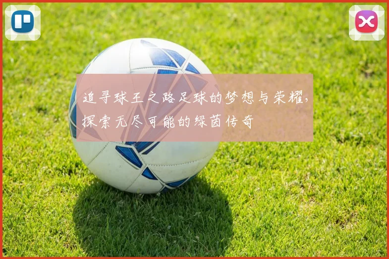 追寻球王之路足球的梦想与荣耀，探索无尽可能的绿茵传奇