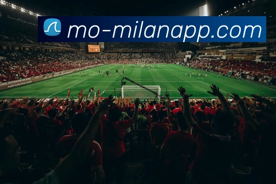 App Interface Preview