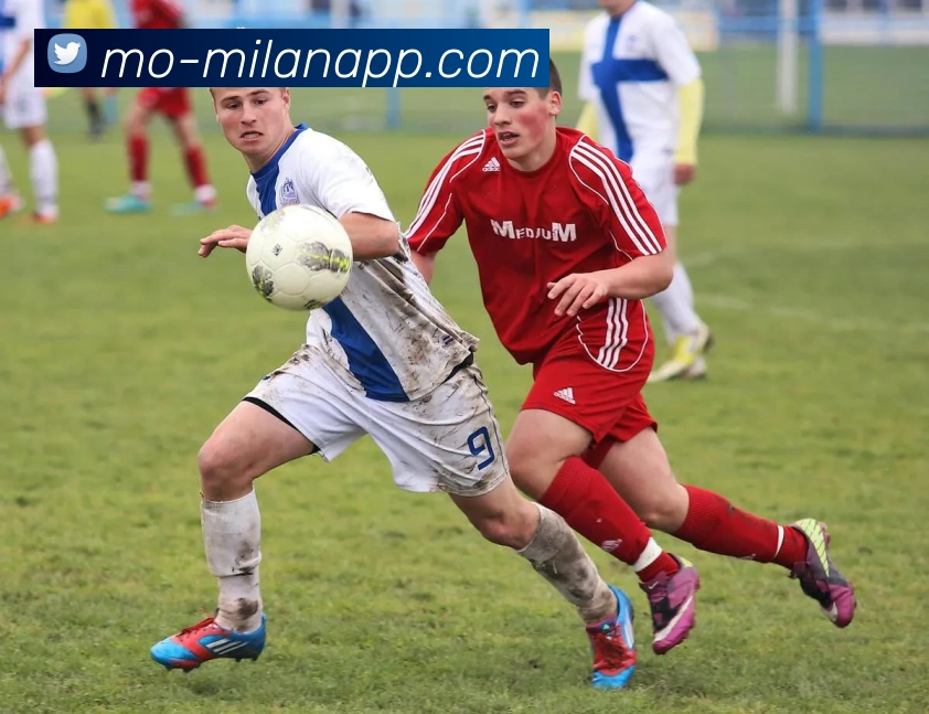 米兰体育中国APP 封面图